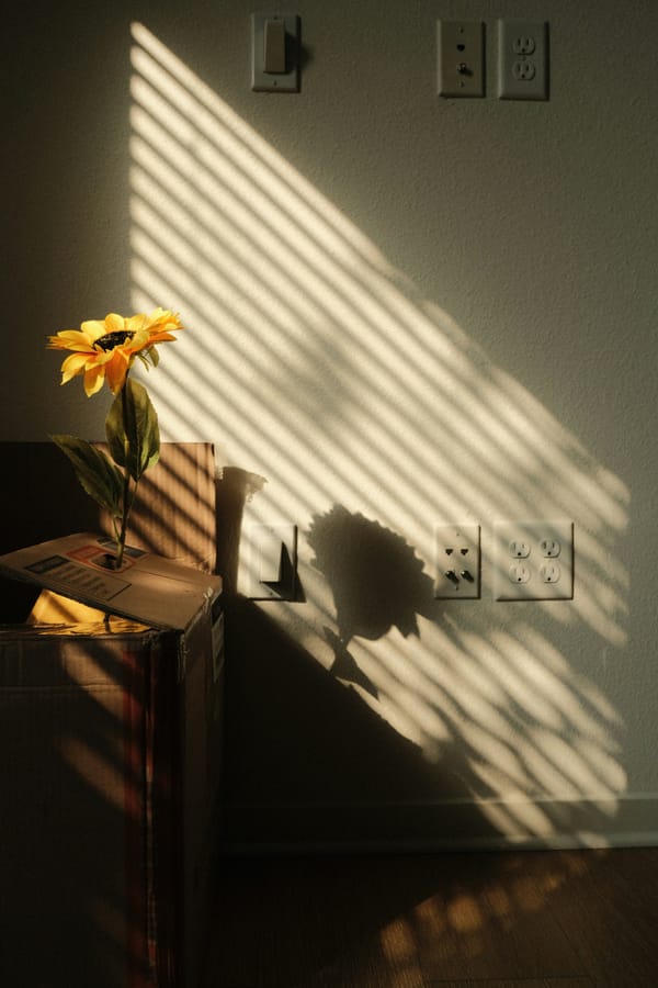 Letting the Sunshine in -- Even on Cloudy Days